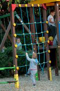 IMG_3870.jpg